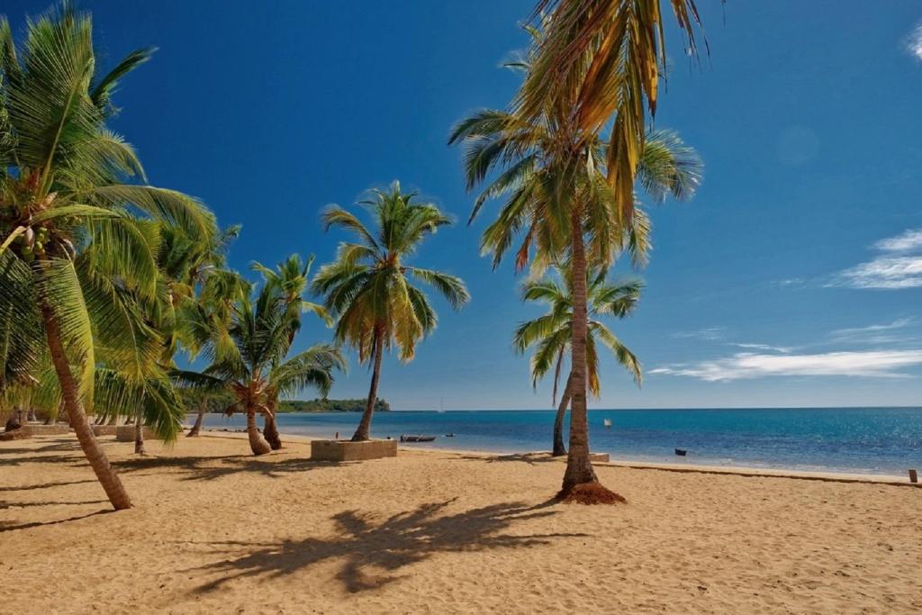 a beach with palm trees and the ocean at Orangea Beach Resort in Andilana