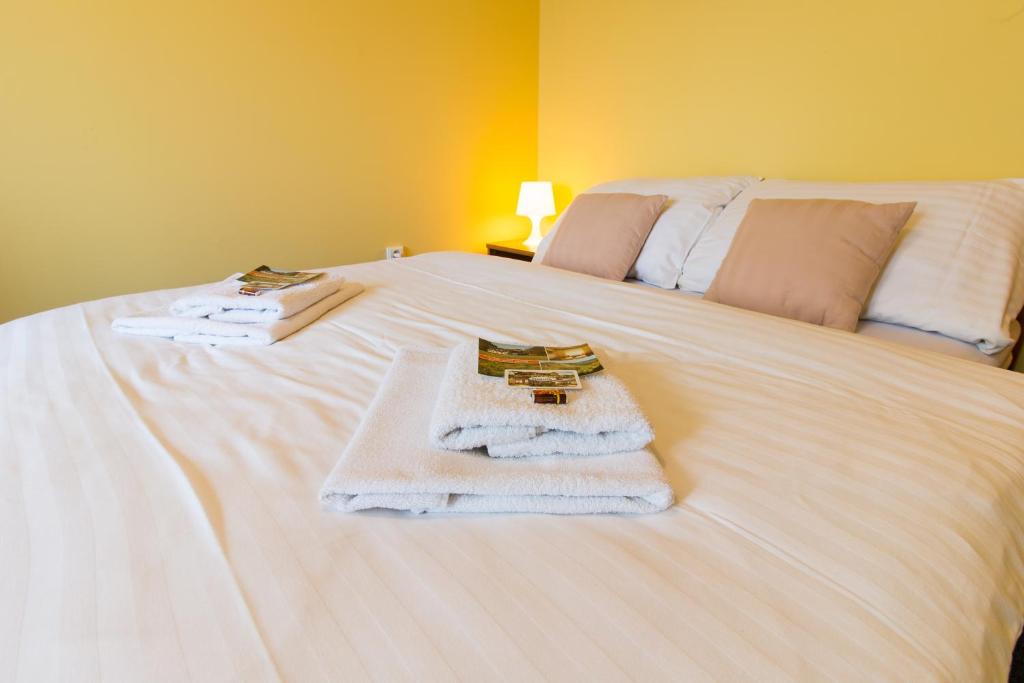 Postel nebo postele na pokoji v ubytování Hotel Franz