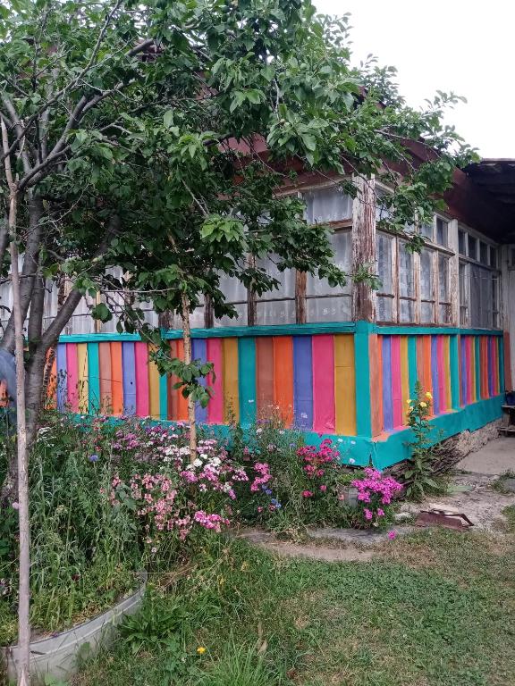 Zahrada ubytování Guest House Nazo