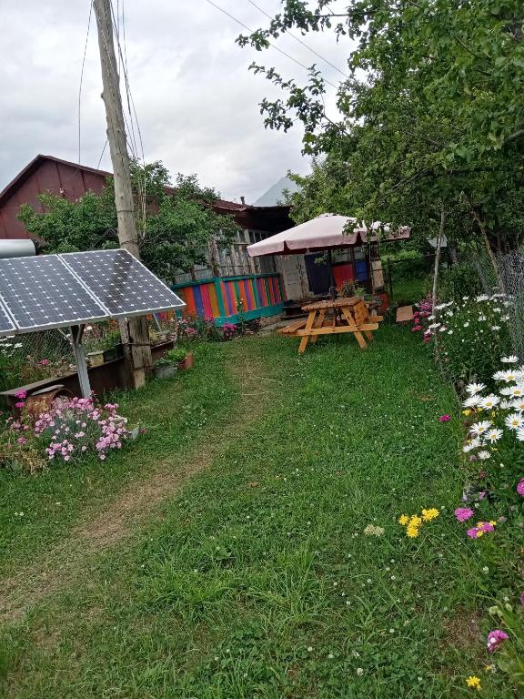 Zahrada ubytování Guest House Nazo