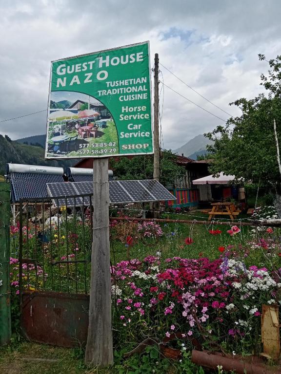 Zahrada ubytování Guest House Nazo