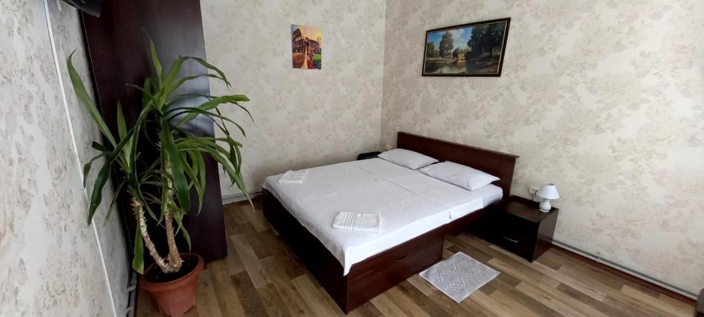 a small bedroom with a bed and a plant at Apartments Ilona in Odesa