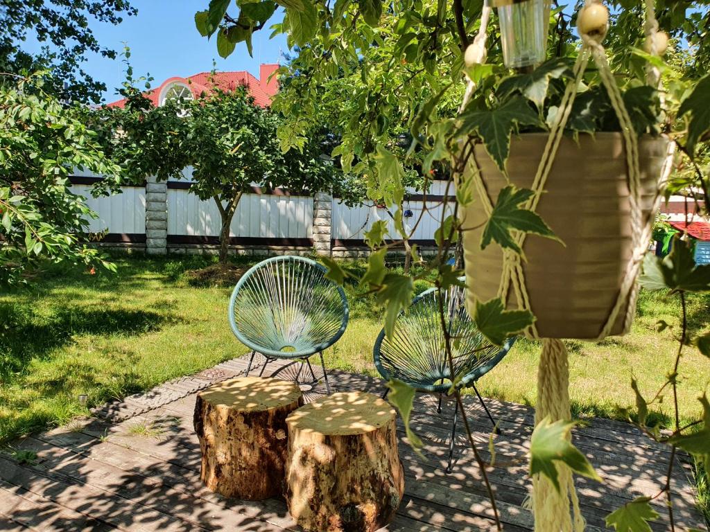 Zahrada ubytování Surf Inn