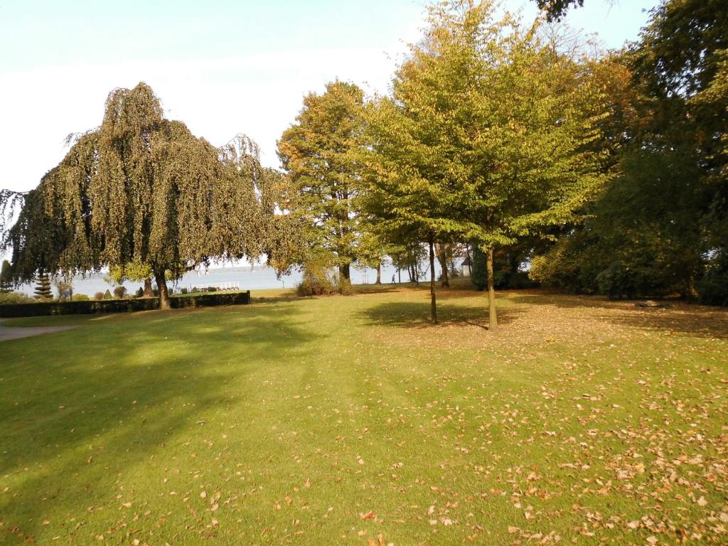 ein Grasfeld mit Bäumen und einem Wasserkörper in der Unterkunft Apartment Hinrichs in Bad Zwischenahn