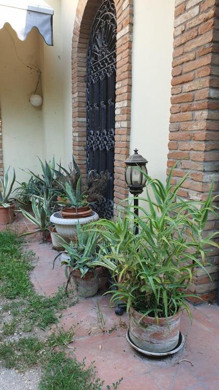 VillaLuigia - Oasi le Palme - Standard Apartment