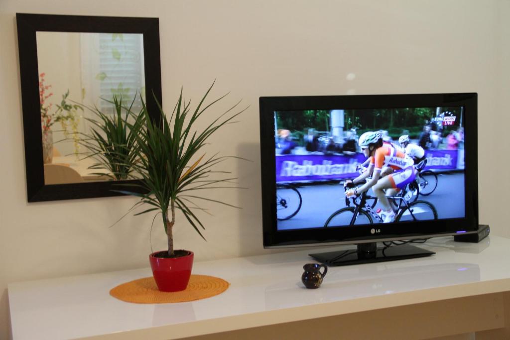 TV a/nebo společenská místnost v ubytování Apartments Stipe Plazibat