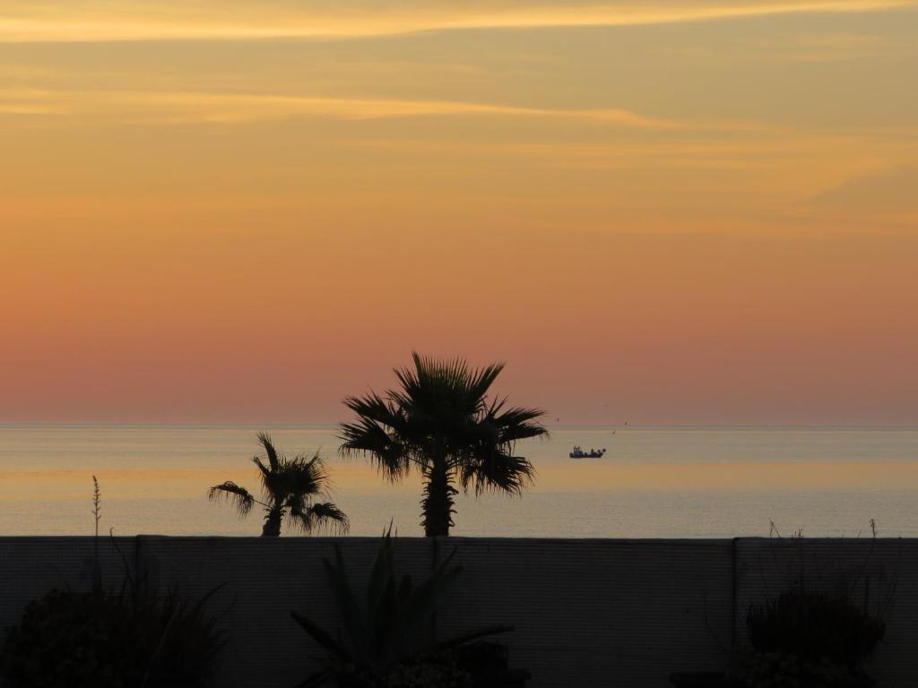 - une plage avec 2 palmiers et un bateau dans l'eau dans l'établissement Ground floor studio with access to beach and pool, au Barcarès