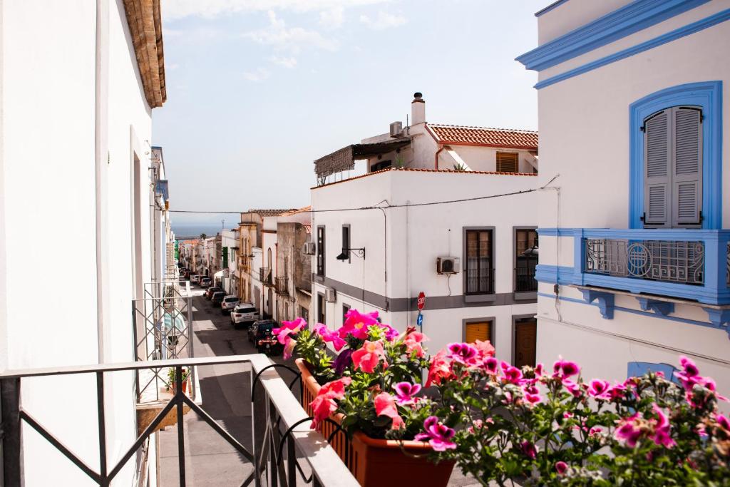 balkon z różowymi kwiatami i białymi budynkami w obiekcie Bobo House Calasetta w mieście Calasetta
