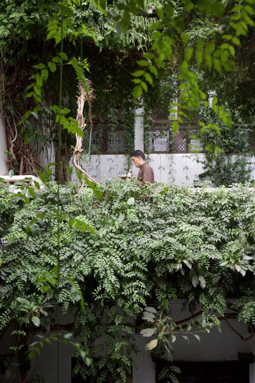 Um jardim no exterior de Riad Lyla