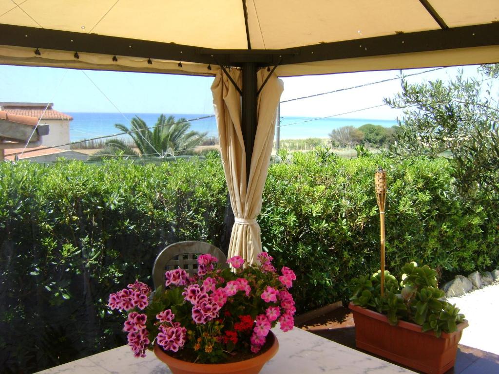een tafel met twee potbloemen en een paraplu bij Mare Nostrum Casa Vacanza in Licata