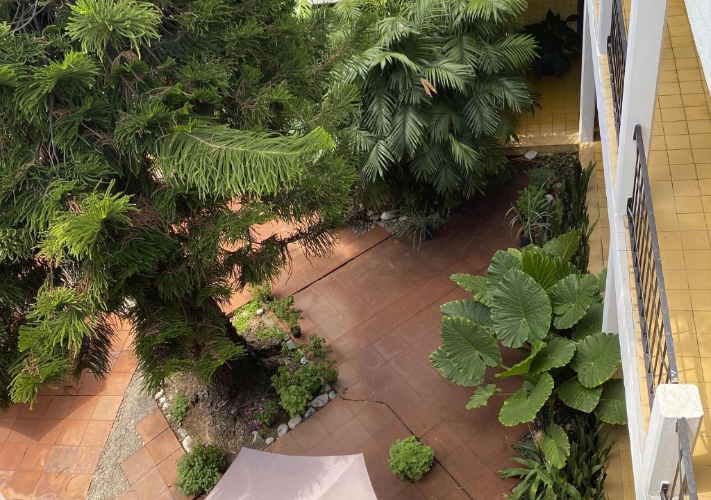 Zahrada ubytování Hotel Allende Morelia