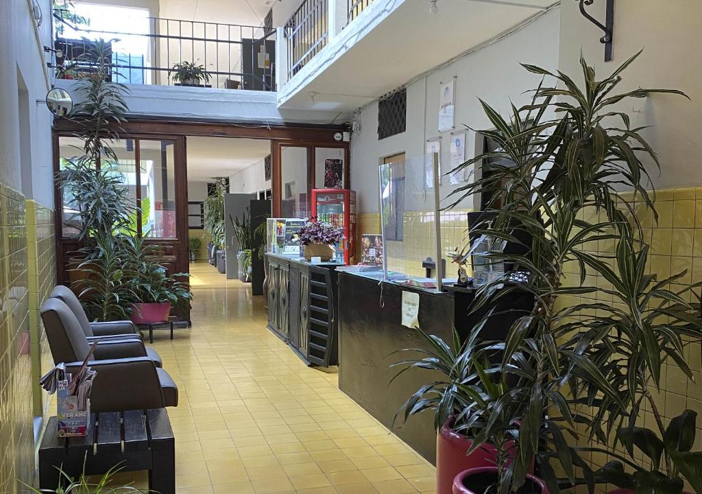 Fotografie z fotogalerie ubytování Hotel Allende Morelia v destinaci Morelia