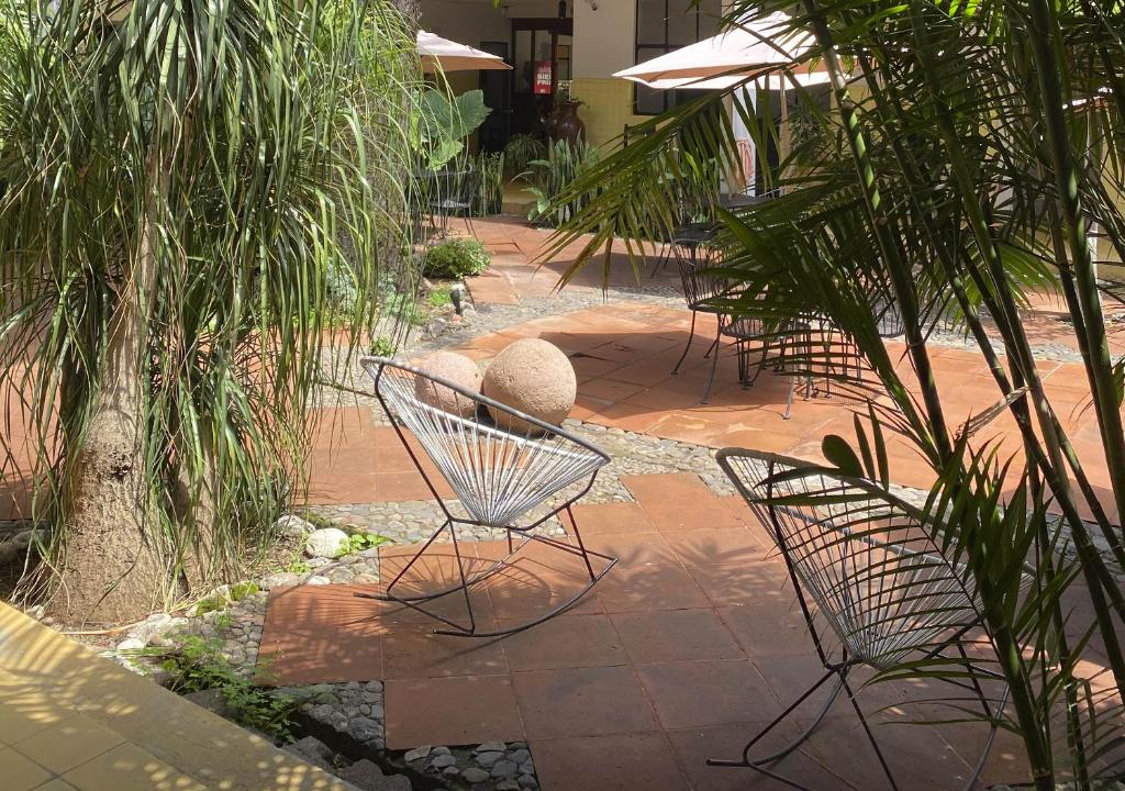 Zahrada ubytování Hotel Allende Morelia