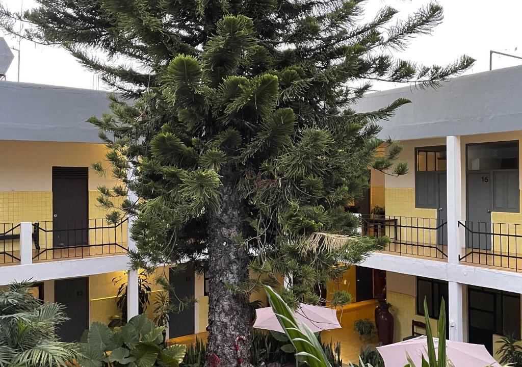 Balkón nebo terasa v ubytování Hotel Allende Morelia