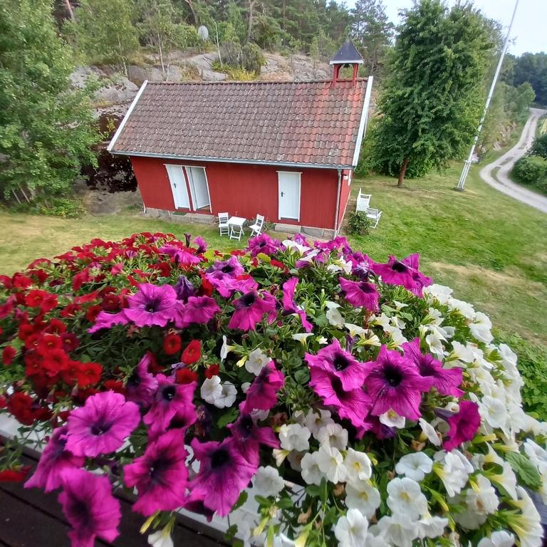 Zahrada ubytování Sandbrekke Gjestegård