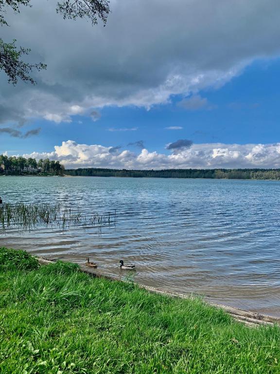 Fotografia z galérie ubytovania Apartments Lake Biale v destinácii Augustów
