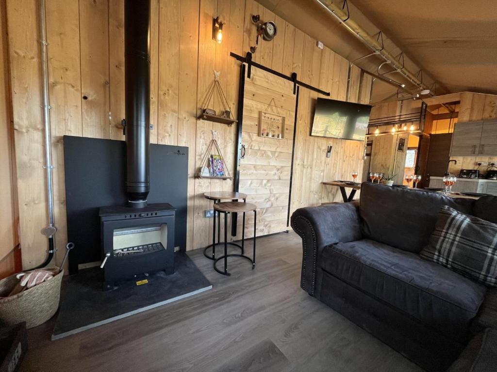 TV a/nebo společenská místnost v ubytování Lion King Safari Tent