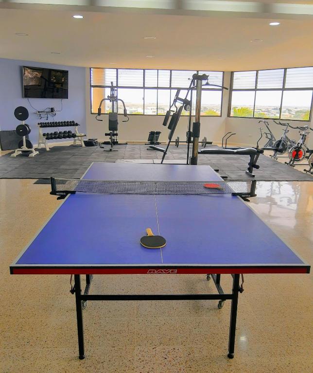 Fitness centrum a/nebo fitness zařízení v ubytování Dulcinea Mini House