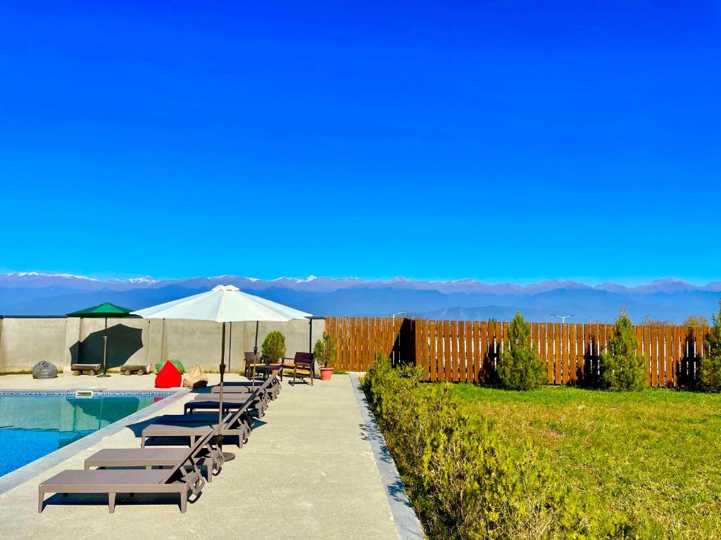 Bazén v ubytování The Wine Hotel Telavi nebo v jeho okolí