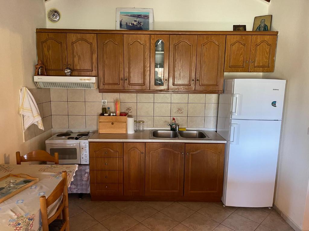 Kuchyňa alebo kuchynka v ubytovaní Alexiou Guesthouse Pilion Katigiorgis