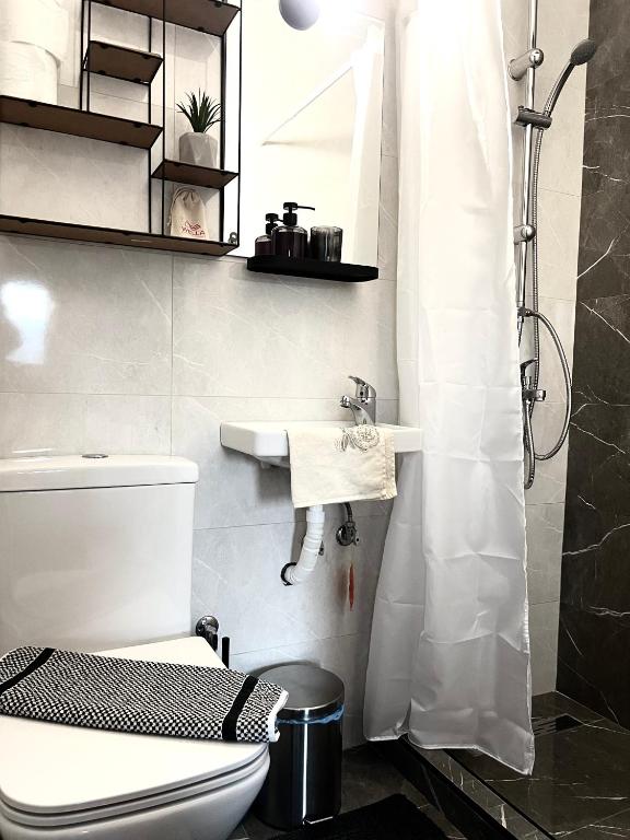 a bathroom with a toilet and a sink at Villa Kastro Elassona in Elassona