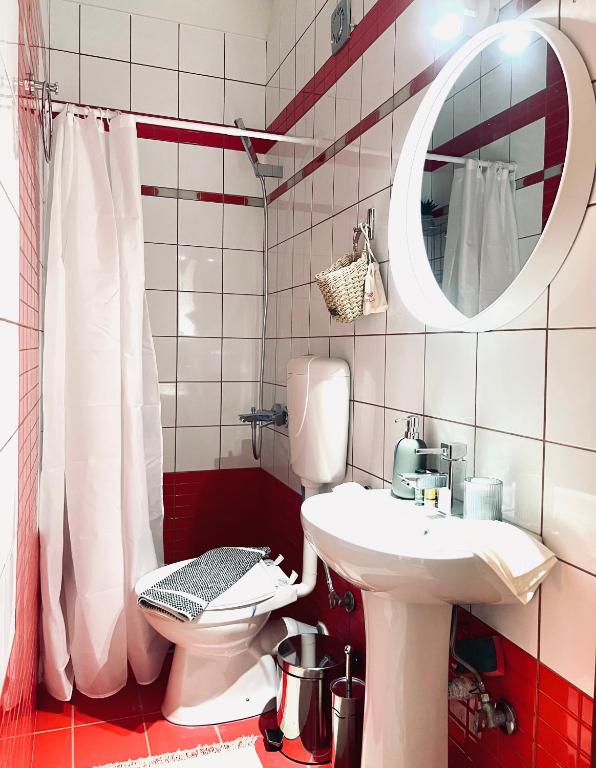 a bathroom with a toilet and a sink and a mirror at Villa Kastro Elassona in Elassona