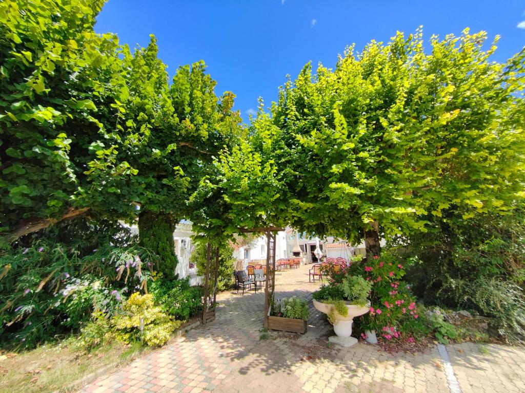 un grupo de árboles con flores y plantas en Auberge Le Chata, en Saint-Georges-de-Didonne