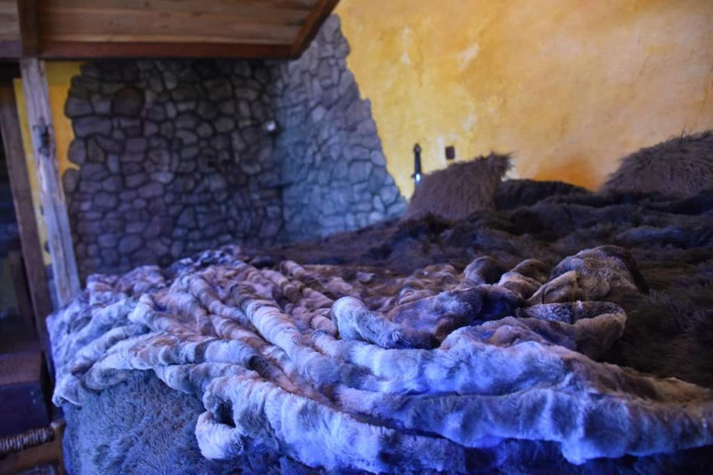 El descanso de Odín ¡Una auténtica posada vikinga! - 