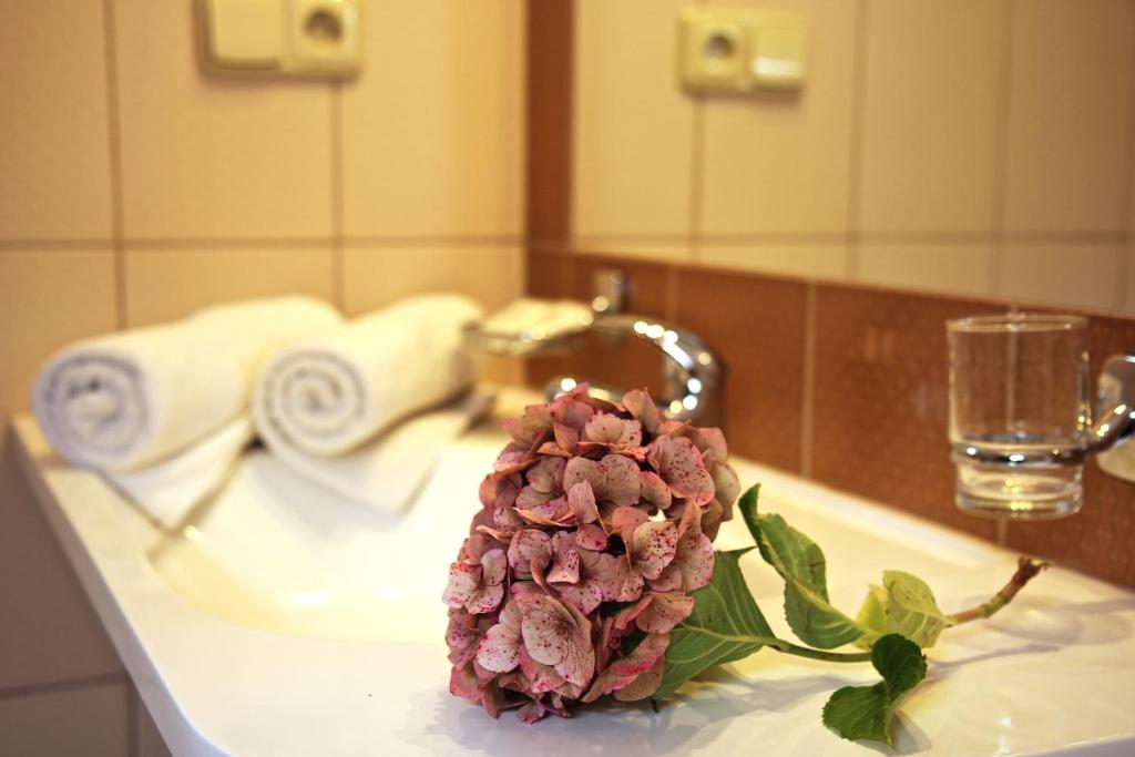 Sportpenzion Pohoda - 8