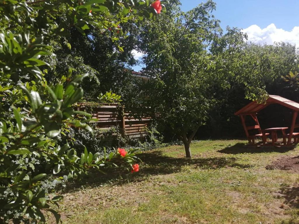 Vonkajšia záhrada v ubytovaní Rákos-patak Family House