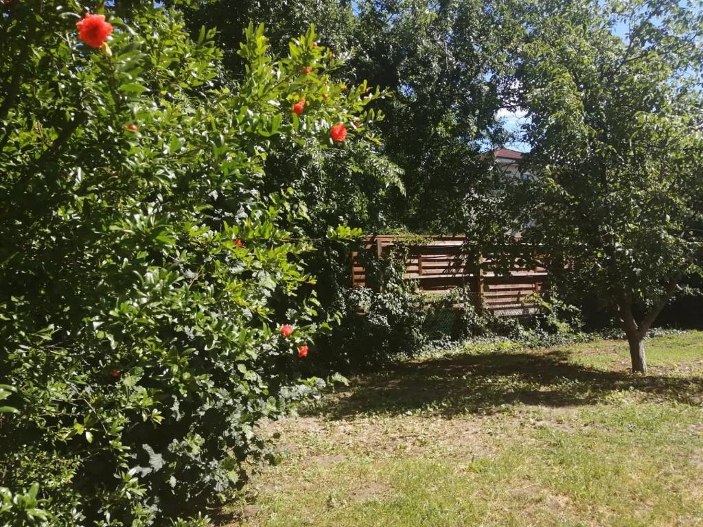 Vonkajšia záhrada v ubytovaní Rákos-patak Family House