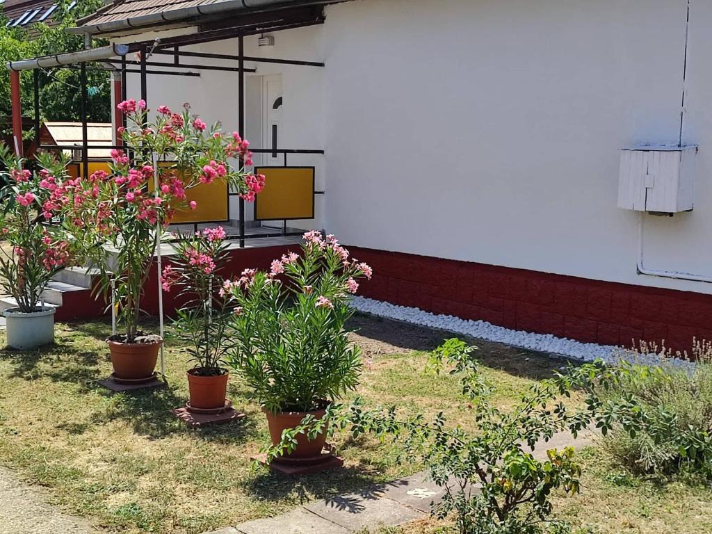 Vonkajšia záhrada v ubytovaní Rákos-patak Family House