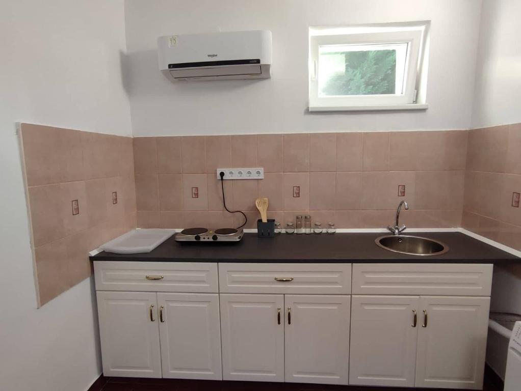 Kuchyňa alebo kuchynka v ubytovaní Rákos-patak Family House