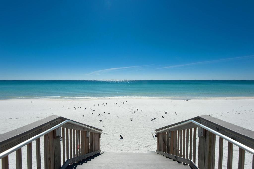 een promenade op een strand met vogels op het zand bij Holiday Surf and Racquet Club 212 in Destin
