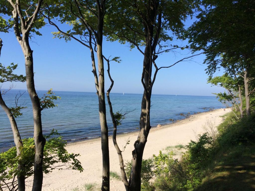 a view of the beach through the trees at Pension Seba in Grevesmühlen