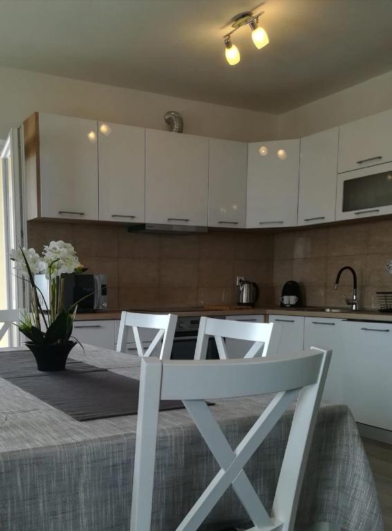 Kuchyňa alebo kuchynka v ubytovaní Apartment Villa Bijele Stijene