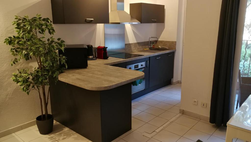 Fotografia z galérie ubytovania Grimaud 4 personnes - Piscine v destinácii Grimaud