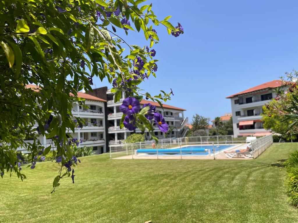 een gebouw met een zwembad in een tuin bij Prime Parque Avoceta Apartment in Puerto de la Cruz