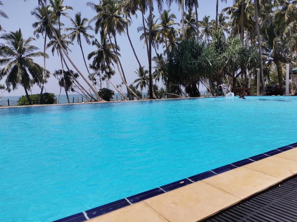 una grande piscina con palme sullo sfondo di Helios Beach Resort a Tangalle