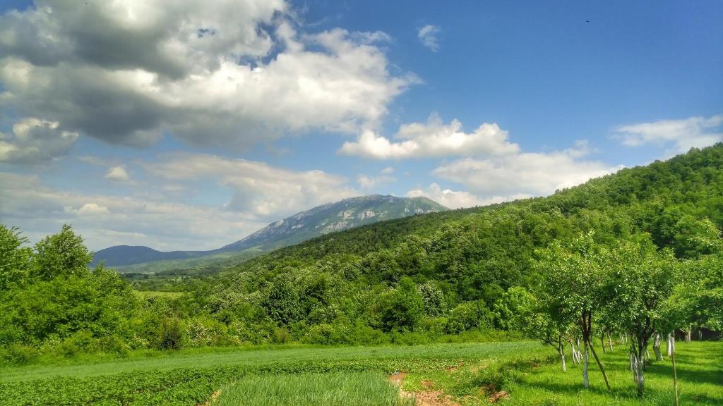 Foto dalla galleria di Vila Lapušnja - najam cele vikendice a Krivi Vir