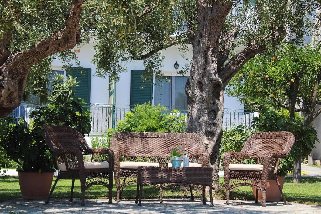 a group of chairs and a table under a tree at Giovanni Group Apartments in Syvota