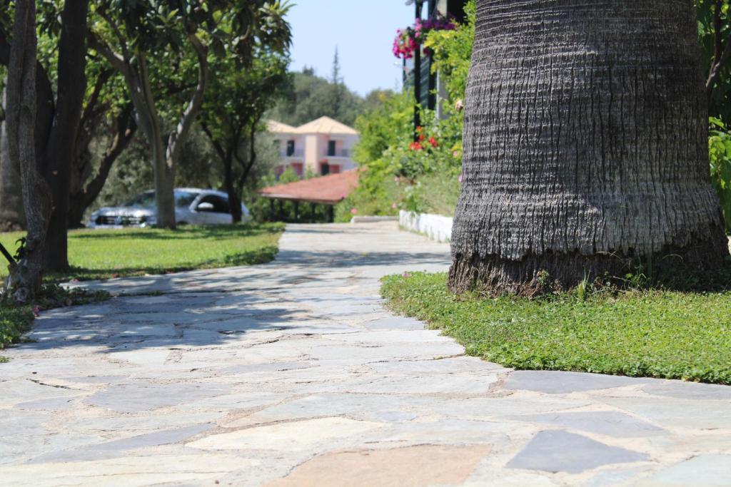 a cobblestone sidewalk next to a palm tree at Giovanni Group Apartments in Syvota