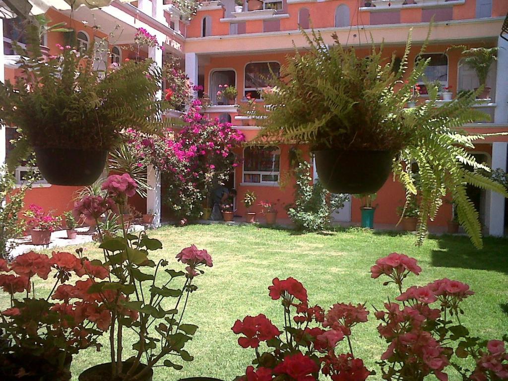 Zahrada ubytování Hotel Posada Tolteca