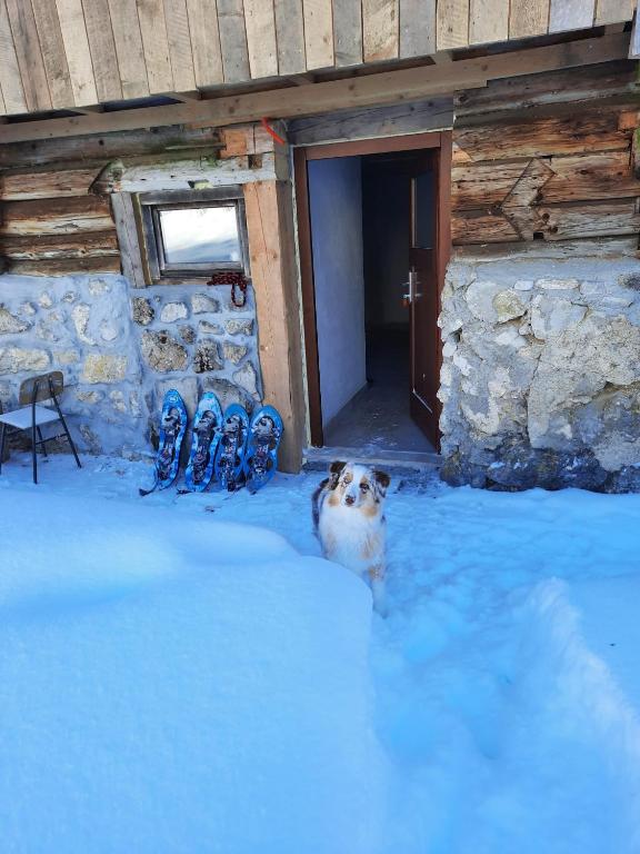 Fotografie z fotogalerie ubytování Hut Vaznik v destinaci Mrzli Studenec