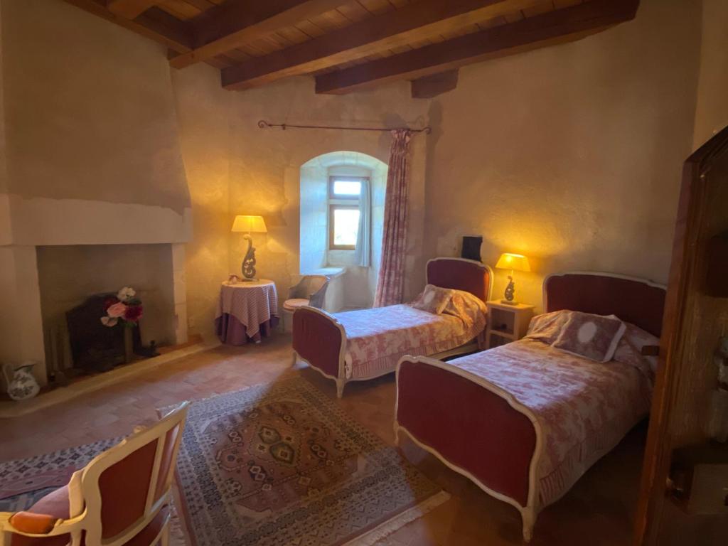 Chateau d'Ingrandes - Suite De Luxe
