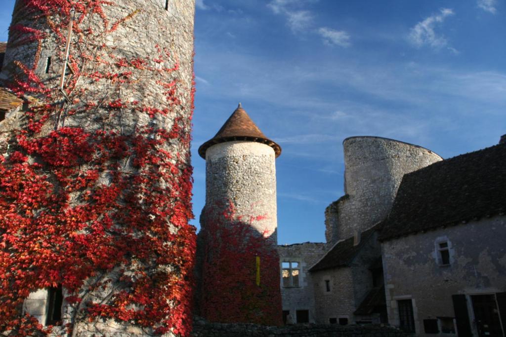 Gallery image of Chateau d'Ingrandes in Ingrandes