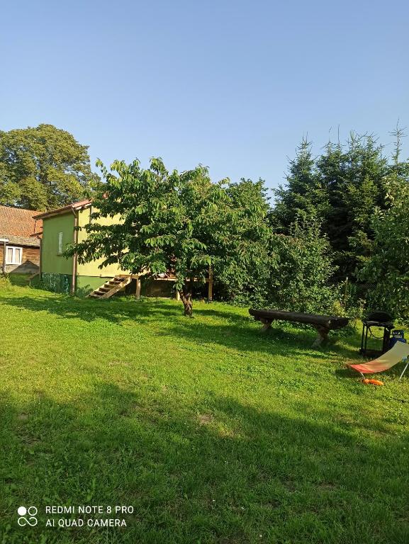 - un parc avec une table de pique-nique et un banc dans l'herbe dans l'établissement Zakątek Turysty, à Świbno