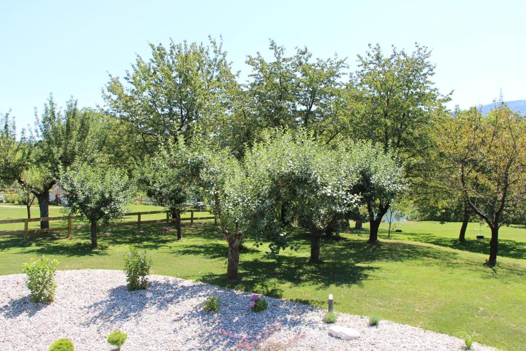 Κήπος έξω από το Glamping PEC - HALFBOARD