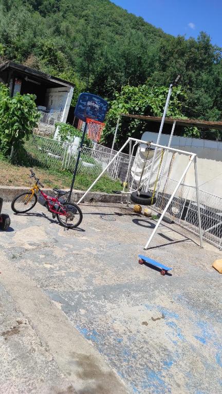 Příroda nedaleko apartmánu