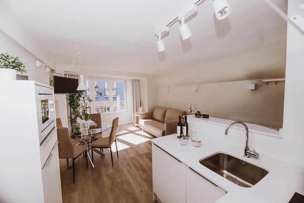 Apartamentos BURGOSUITES - 3